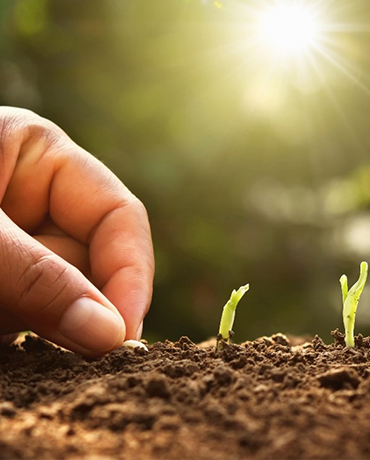 Developing Leadership Skills